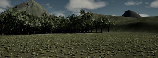 canopy near wave3