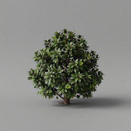 object reference